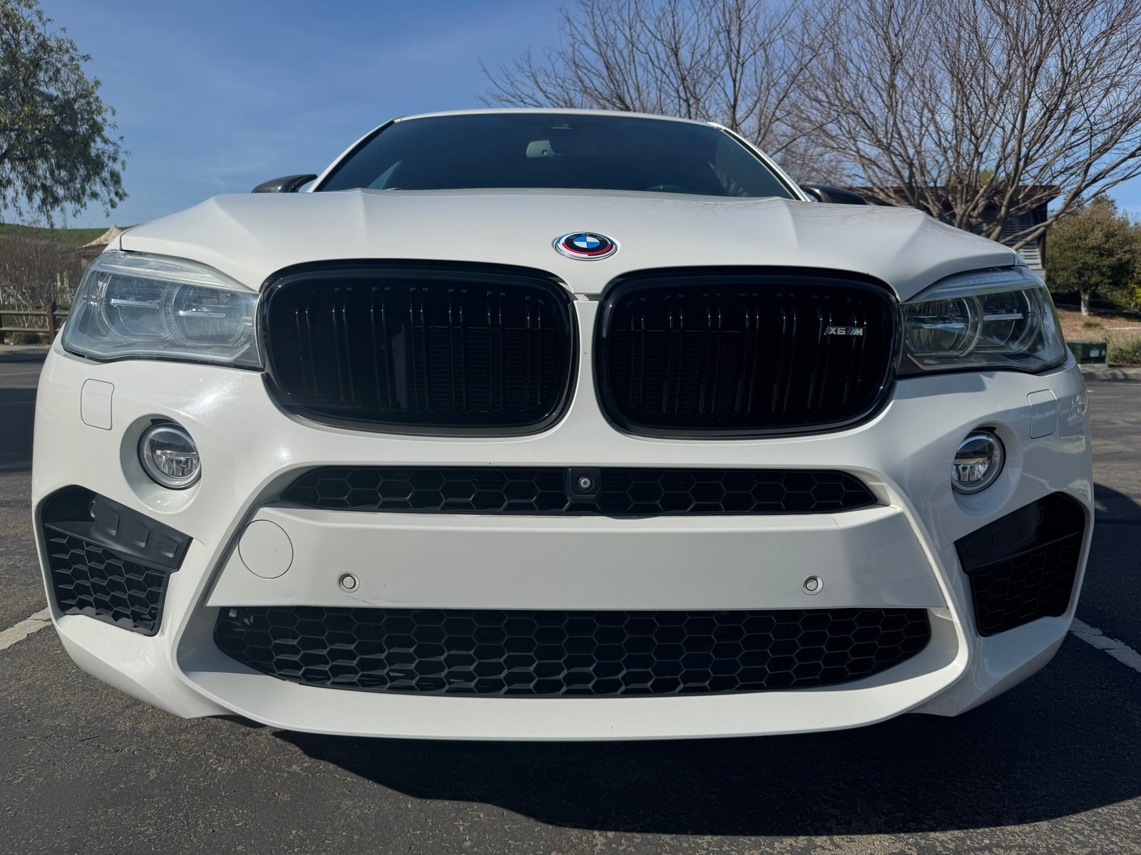 2016 BMW X6M